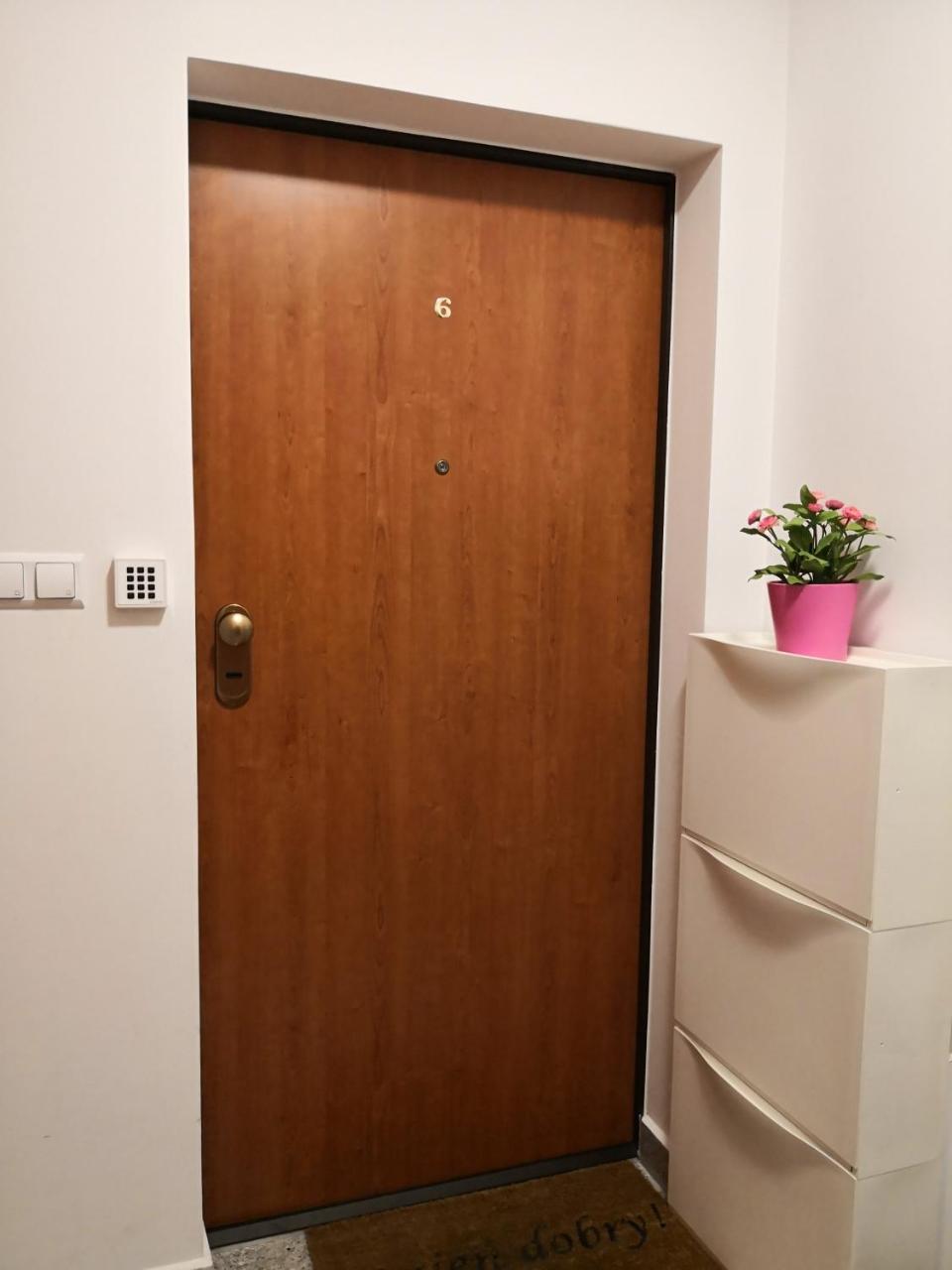 Willa Gusia, Apartamenty 扎科帕内 外观 照片